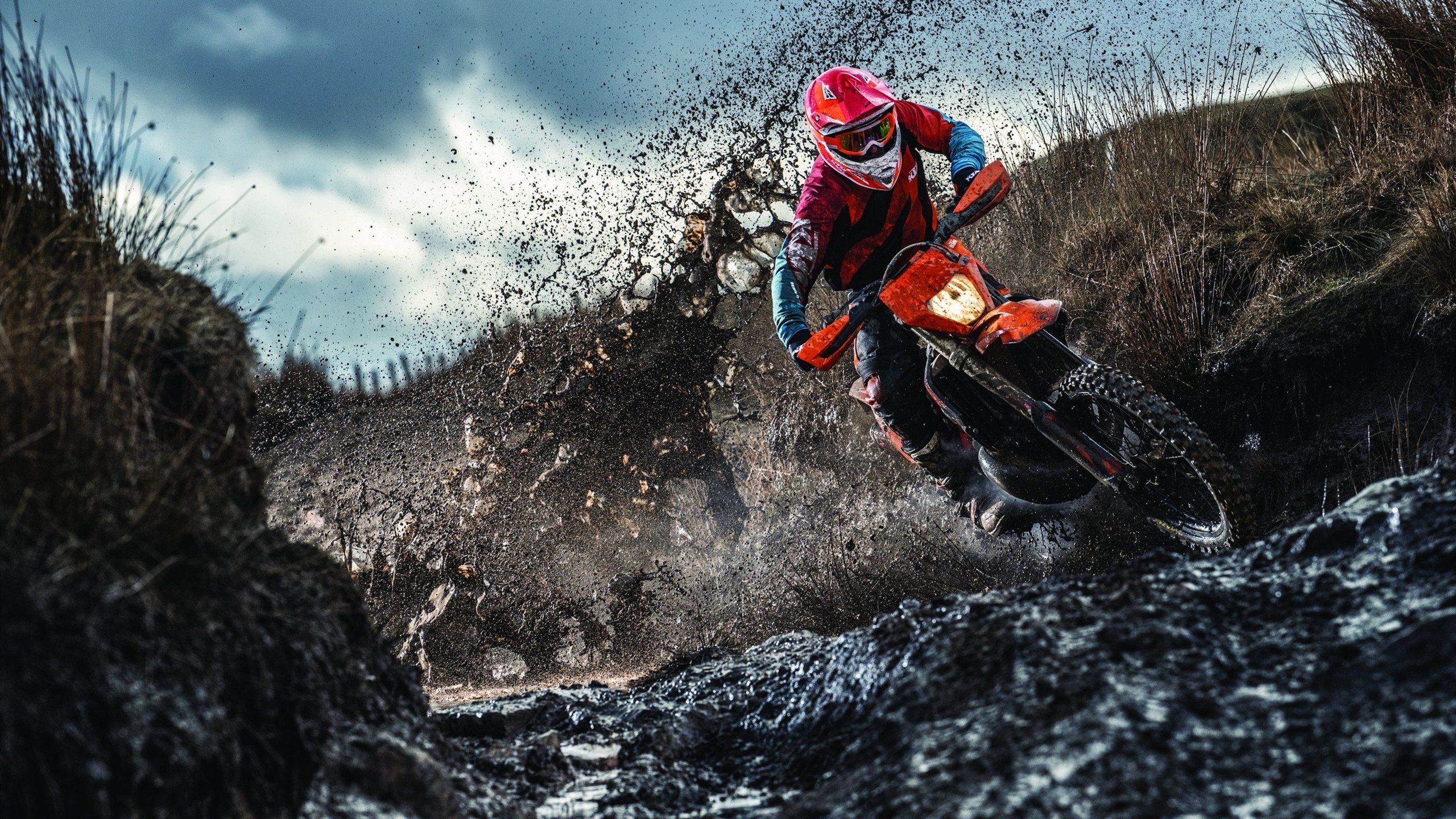 天山雪豹的怒吼，新疆队力克十一冠王广东，詹姆斯式统治力闪耀赛场